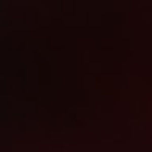 Meet your Posher, Martin